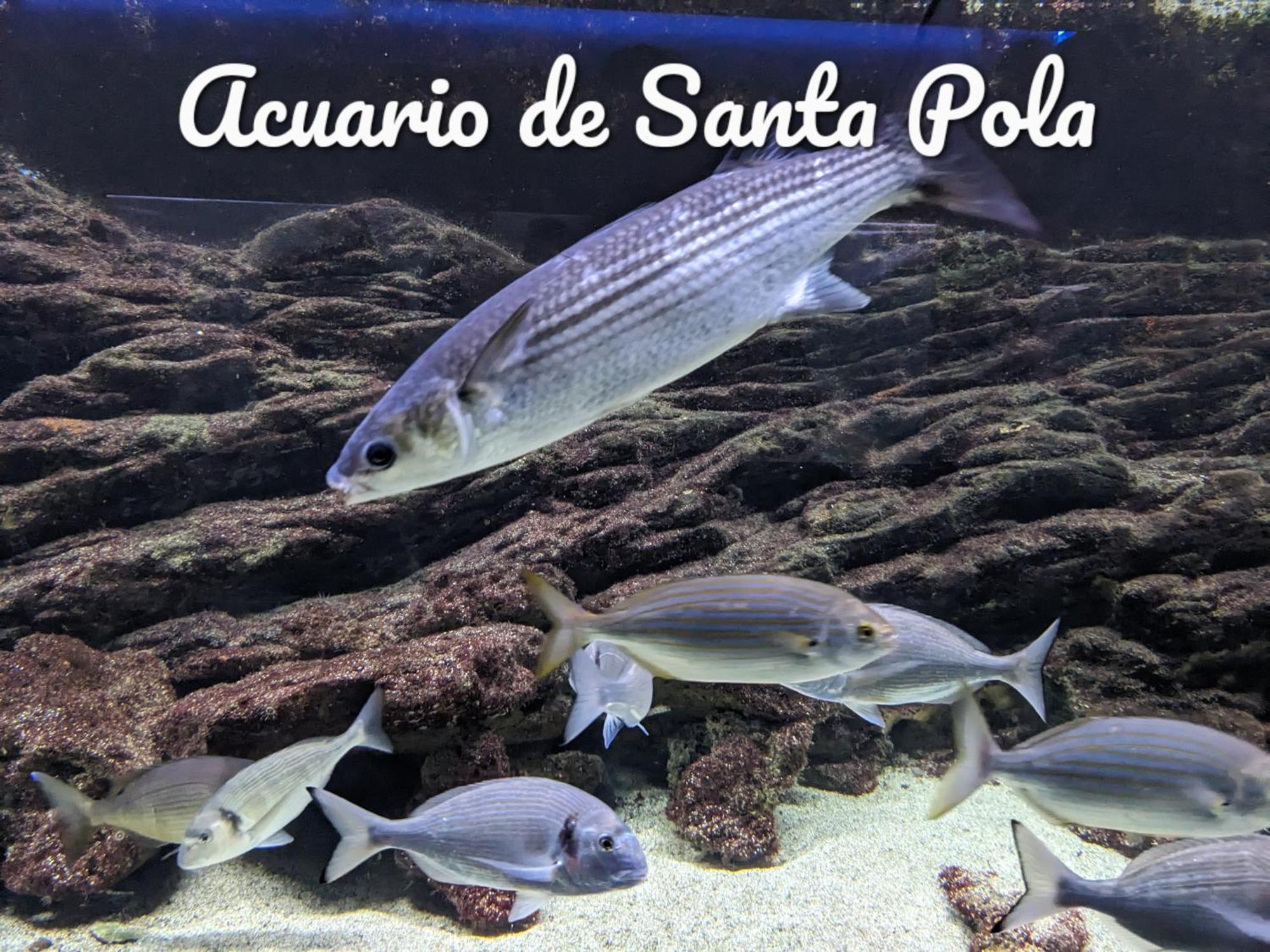Best Holiday Santa Pola Exterior foto